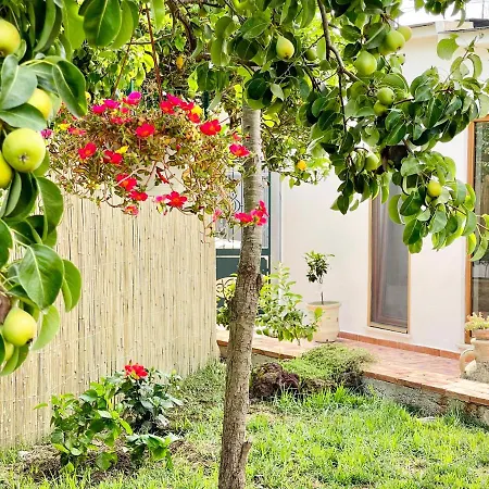 Profumo Di Limoni Vacation בית נופש