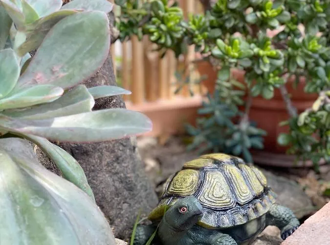 Casa de Férias Profumo Di Limoni Vacation *